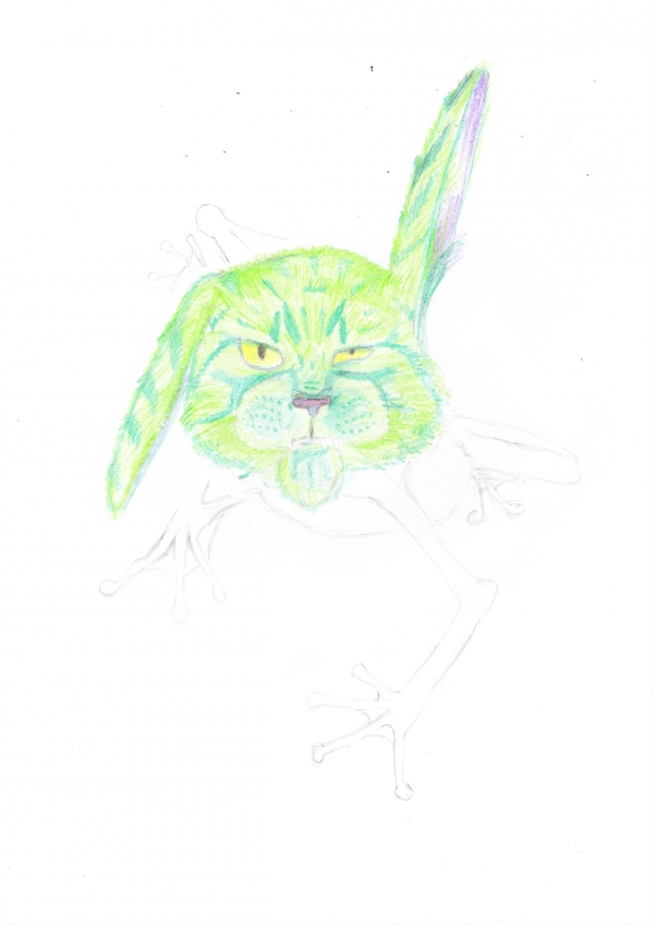 Creation of Buncafro: Step 2